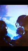 team ALL BLACKS / ����ե�