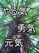 Ωھع