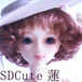SDCuteϡ
