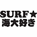 SURF繥