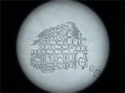 �ʤ�ǥ�����ϥ����ʤ��