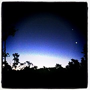 青汁ジューシーズ