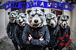 MAN WITH A MISSION@関東甲信越