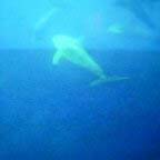 60�θ���������