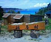 癒しの島沖縄