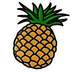 ѥѥѥѥѥʥݡ