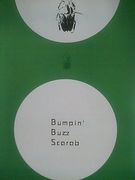 Bumpin’ Buzz　 Scarab