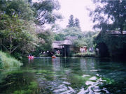 ̾�Ų����̡������໭