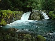 ���彣snap��