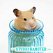  STUDIO HAMSTER