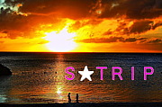 ٥ȥ롡STRIP