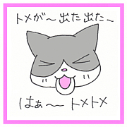 トメちゃ くるねこ Mixiコミュニティ