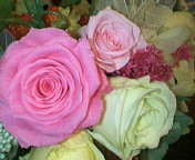 mixi�����ƶ���Ĥ���ޤ����