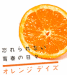 ♡オレンジの会♡