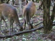 九大　８１０２　部