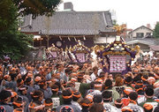 大東京神輿　「粋な祭」