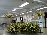 ���������ء�����ƻ�����ή��