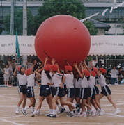 青春運動会の会☆