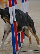 �ɥå����ݡ��ļ̿�