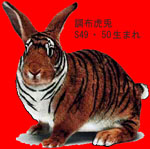 調布中傘下S49･50年生まれ