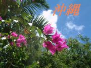 沖縄〜Okinawan〜琉球