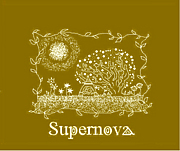 supernova is band!