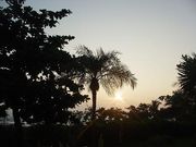 ��2006ǯ10��6������Baby��