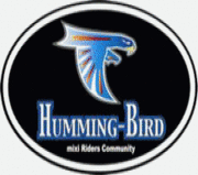 Humming-Bird