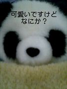 可愛いだけが取り柄でごめんね