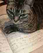 ���ޤ���B���ʥͥ������˸����