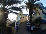 �ǥˡ����ջ�����ŹOB/OG�β�