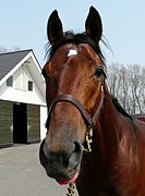 �磻��ɥ�������