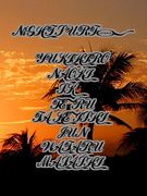 ��NiGHT SURF��