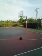 ���������������