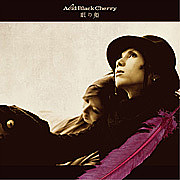 ̲ɱ Acid Black Cherry