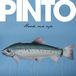 PINTO <swedish band>