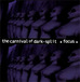 The Carnival Of Dark-Split