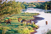 人と馬のための自然環境保護
