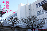 大阪成蹊大学2012年新入生