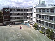 ��NEW ������������