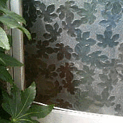 ���ĥ��饹����Į����