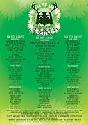 The Green Man Festival