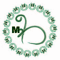 緑小のMIDORIの輪