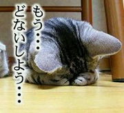 結局押しに弱い