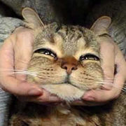 �����ܤˤ����Ʊ��