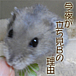 �ں��뤬Ω����B����ͳ��