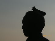 �ں���N�ۡ����75���