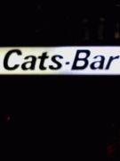 Cats-Bar
