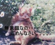 ̵ռ˲ä㤦