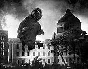 顦顦Godzilla